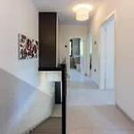 Dom wakacyjny Palma Podhum